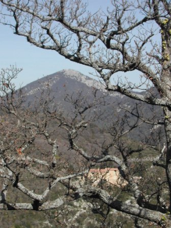 Autre vue du mont comes