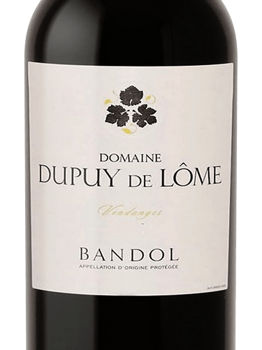 Domaine dupuy des lome